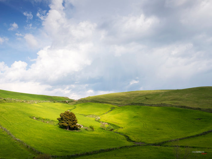 Campagna Siciliana per stampe su tela